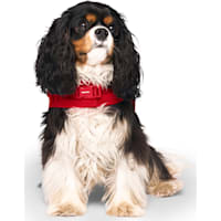 Canada Pooch Harness Puffer Jacket for Dogs