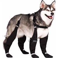 Canada Pooch Suspender Boots for Dogs