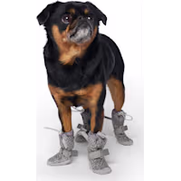 Canada Pooch Hot Pavement Boots Dog