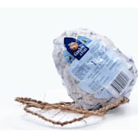 A&E Cage Company Garden & Fun Suet Pine Cone