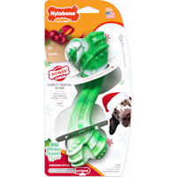 Nylabone Wintergreen Holiday Power Curvy Dental Bone Chew Dog Toy