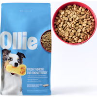 Ollie Baked Turkey Dish with Butternut Squash Dog Food