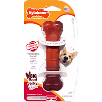 Nylabone Beef Jerky Power Chew Textured Bone Dog Toy