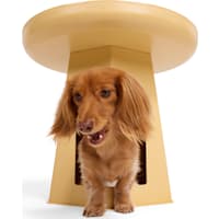 Petco Pet Condo End Table