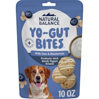 Natural Balance Yo-Gut Bites with Oats & Blueberries for Dogs