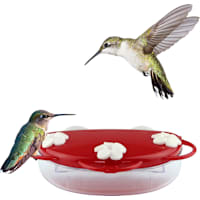 Nature's Way Traditional Window Plastic Hummingbird Feeder