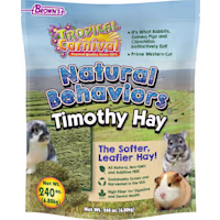 Brown's Tropical Carnival Natural Behaviors Timothy Hay