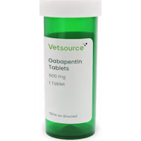 Gabapentin (Generic) 600 mg