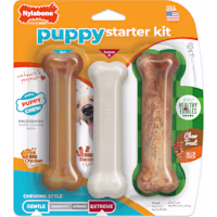 Nylabone Healthy Edibles Puppy Starter Kit