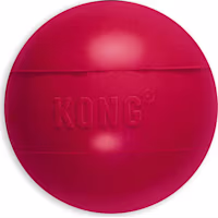 KONG Ball Dog Toy