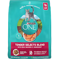 Purina ONE Natural Tender Selects Blend with Real Salmon Dry Cat Food