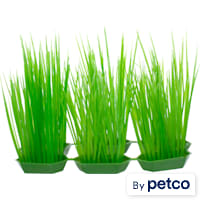 Imagitarium Green Foreground Plastic Aquarium Plants