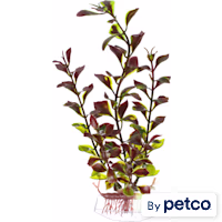 Imagitarium Red & Green Ludwigia Plastic Aquarium Plant