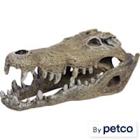 Imagitarium Nile Crocodile Skull