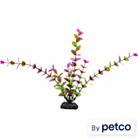 Imagitarium Purple & Green Midground Aquarium Plant