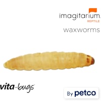 Vita-Bugs Waxworms