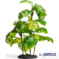 Imagitarium Stand Araceae Plant Terrarium Decor