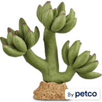 Imagitarium Pink Tipped Cactus Reptile Decor