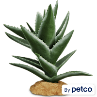 Imagitarium Aloe Plant Reptile Decor