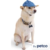 Reddy Washed Twill Dog Hat