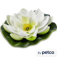Imagitarium Lotus Lounger Betta Bed