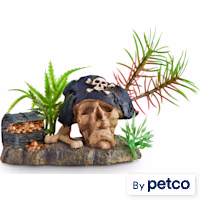 Imagitarium Pirate Skull with Plant Aquatic Decor