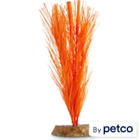 Imagitarium Orange Feather Silk Plant