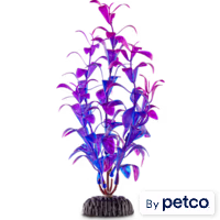 Imagitarium Purple & Blue Foreground Aquarium Plant