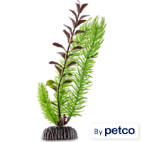 Imagitarium Red and Green Plastic Ludwigia Aquarium Plant