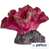 Imagitarium Coral Resin Aquarium Decor in Assorted Styles