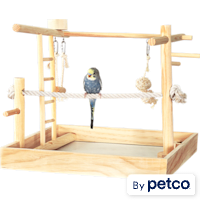 You & Me 3-in-1 Playground for Birds