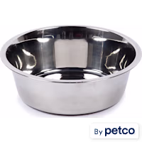EveryYay Dining In Non-Skid Brushed Stainless Steel Dog Bowl