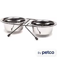 EveryYay Dining In Stainless Steel Double Diner for Dogs