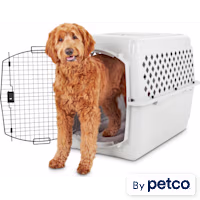 EveryYay Classic Going Places Pet Kennel