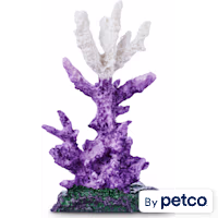 Imagitarium Staghorn Coral Aquatic Decor