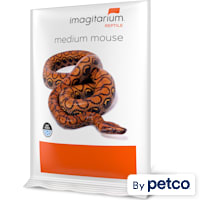 Frozen Medium Mouse