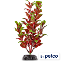 Imagitarium Red & Green Pearl Foreground Aquarium Plant