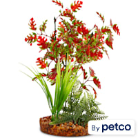 Imagitarium Pacifica Red & Green Plant