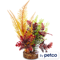 Imagitarium Multi-Color Fiesta Hawaiian Tropical Plastic Aquarium Plant