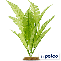 Imagitarium Bright Green Silk Plant