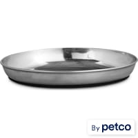 EveryYay Dining In Oval Stainless Steel Cat Bowl