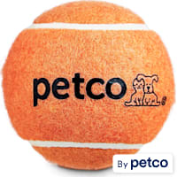 Petco Tennis Ball Dog Toy in Orange