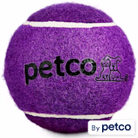 Petco Tennis Ball Dog Toy in Purple