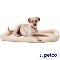 EveryYay Essentials Happy Place Basic Dog Crate Mat and Pet Bed