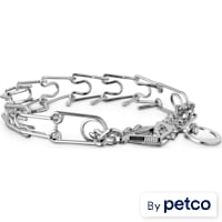 EveryYay Quick-Release Training Dog Collar