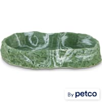Imagitarium Green Marbled Reptile Dish