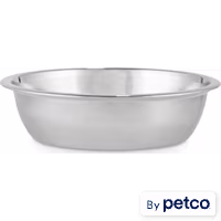 EveryYay Dining In Stainless Steel Dog Bowl Insert