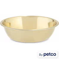 EveryYay Dining In Gold Stainless Steel Dog Bowl
