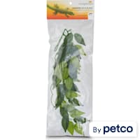 Imagitarium Hanging Silk Plant