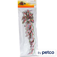 Imagitarium Hanging Red Silk Plant